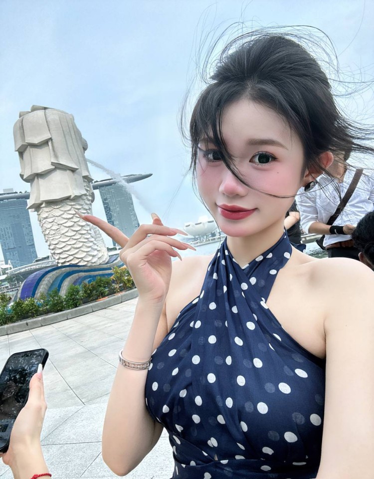 成全电影免费高清完整版在线观看,最新手机在线电影